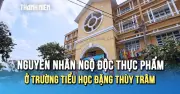 Nguyên nhân vụ ngộ độc thực phẩm tại Trường tiểu học Đặng Thùy Trâm