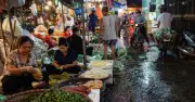 Nguyên tắc làm sạch có thể làm bẩn: Phá sản trong quản lý an toàn thực phẩm