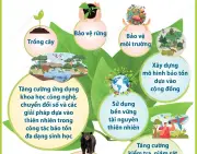 Ngày Quốc tế Đa dạng sinh học: Hành động địa phương vì hiệu quả toàn cầu