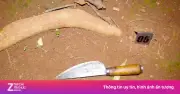 Nhờ lấy sạc điện thoại không được đáp lại, thanh niên đâm chết người