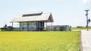 Nhà máy chế biến trái cây Trà Vinh chậm tiến độ, gây lãng phí