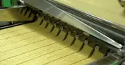 Nhà máy mì gói lớn nhất Hàn Quốc sản xuất 6 triệu gói mỗi ngày nhờ AI