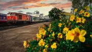 Nhà thơ Đặng Hiếu Dân: Hành trình thi ca từ những chuyến tàu