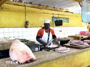 Nhiều nước và tổ chức quốc tế tiếp tục triển khai các hoạt động ủng hộ Cuba