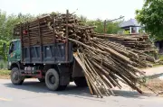 Nhiều xe tải chở kẹo tràm qua khổ trên đường Hồ Chí Minh nhánh Đông