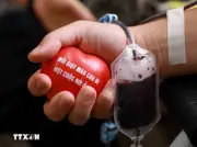 Nhiều y bác sỹ Trung tâm Y tế kịp thời hiến máu cứu sản phụ qua cơn nguy kịch