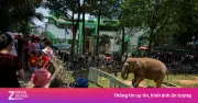 Nhóm sinh viên xin lỗi sau video gây tranh cãi tại Vườn thú Hà Nội