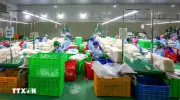 Những chính sách mới nổi bật có hiệu lực từ tháng 6/2026