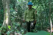 Những người ăn ngủ cùng rừng giữa cao điểm nắng nóng hơn 40 độ C tại Nghệ An
