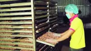 Nhập khẩu nông lâm thủy sản 4 tháng đầu năm 2026 tăng 12%