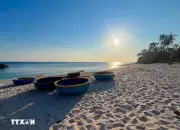 Nhịp sống sớm ở cảng cá thôn An Vinh tại đặc khu Lý Sơn