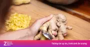 Nên giữ hay gọt vỏ gừng trước khi ăn? Lời khuyên từ chuyên gia
