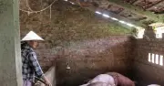 Nâng cao năng lực tiếp cận tri thức khởi nghiệp cho phụ nữ