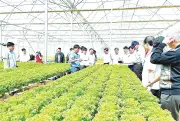 Nông dân Đồng Nai chủ động thích ứng với thời đại số, ứng dụng công nghệ cao