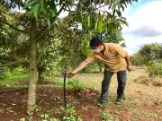 Nông nghiệp Việt Nam: Công nghệ là lời giải cho bài toán năng suất và thu nhập
