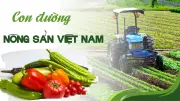 Nông nghiệp Việt Nam: Thành tựu lớn nhưng cần đổi mới để tăng giá trị