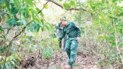 Đà Nẵng tăng cường phòng cháy chữa cháy rừng trong mùa nắng nóng