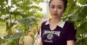 ‘Nông trại’ dưa trên sân thượng: Đam mê xanh giữa lòng phố thị