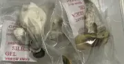 Đà Nẵng triệt phá đường dây ma túy 'nấm thần' trên không gian mạng