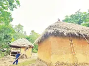 Nếp nhà trình tường vùng cao trước nguy cơ mai một