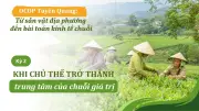 OCOP Tuyên Quang: Từ sản xuất nhỏ lẻ đến chuỗi giá trị bền vững
