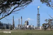 OPEC hạ dự báo tăng trưởng nhu cầu dầu toàn cầu năm 2025