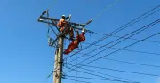 PC Đắk Lắk diễn tập phòng chống thiên tai, xử lý sự cố lưới điện
