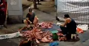 Phố Nguyễn Thiện Thuật nhộn nhịp từ 2h sáng với hàng bán xương bò vỉa hè