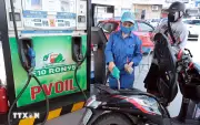 Phủ sóng xăng E10: Hiệp hội các nhà sản xuất ô tô Việt Nam giải mã lo ngại về an toàn cho động cơ
