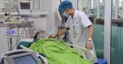 Phú Thọ: Hai người nhập viện vì say nắng, sốc nhiệt khi gặt lúa