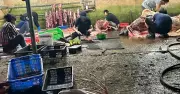 Phú Thọ đóng cửa hàng loạt lò mổ '3 không' sau phản ánh của báo