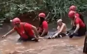 Phi công 72 tuổi sống sót sau va chạm với kền kền, lạc trong rừng rậm Brazil