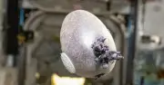 Phi hành gia 70 tuổi trồng khoai tây trên ISS như trong phim The Martian