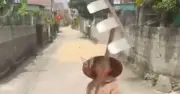 Phơi lúa chiếm đường, người phụ nữ dùng cào tấn công tài xế
