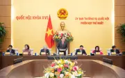 Phiên họp thứ hai của Ủy ban Thường vụ Quốc hội diễn ra ngày 11/5/2026