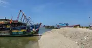 Phường Phước Thắng yêu cầu thu dọn vỏ sò ốc san lấp trái phép bờ sông Cửa Lấp
