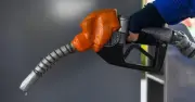 Phạt 2 doanh nghiệp xăng dầu 320 triệu đồng vì vi phạm dự trữ bắt buộc
