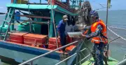 Phát hiện 2 tàu khai thác thủy sản trái phép trên biển Vĩnh Long