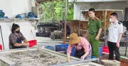 Phát hiện cơ sở kinh doanh hơn 3 tấn lòng lợn mốc, bốc mùi hôi thối