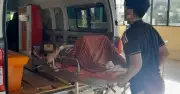 Phát hiện chất gây ung thư độc gấp 68 lần thạch tín trong dạ dày người phụ nữ vì 5 năm không thay đũa