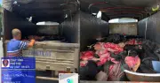 Phát hiện hơn 4 tấn da trâu bò thối trong thùng xe tải bịt kín