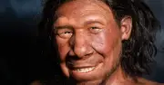 Phát hiện răng Neanderthal 59.000 năm có lỗ khoan: Bằng chứng nha khoa sớm nhất