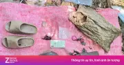 Phát hiện tử thi trong rừng đặc dụng bán đảo Sơn Trà, Đà Nẵng
