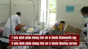 Phát hiện vi khuẩn Salmonella và Bacillus trong vụ ngộ độc bánh mì ở Quảng Trị