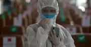 Phát hiện virus corona mới ở dơi Thái Lan có thể lây nhiễm sang người