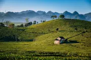 Phát triển du lịch kỷ nguyên mới: Những điểm nghẽn cần gỡ