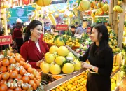 Phát triển đồng bộ hệ thống logistics nông sản theo hướng liên kết vùng
