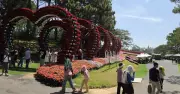 Quán cà phê Đồi Cù Đà Lạt bắn 48 giàn pháo hoa đúng quy định