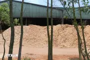 Quảng Ngãi dừng hoạt động nhà máy Wood Pellets để khắc phục ô nhiễm