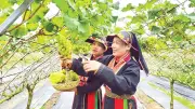 Quảng Ninh nâng tầm sản phẩm OCOP theo hướng chuẩn hóa, hiện đại và bền vững